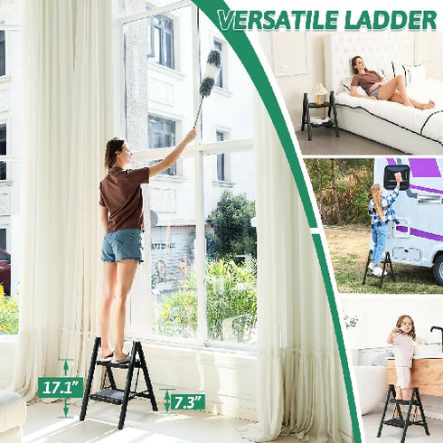 Portable 2 -Step Folding Ladder